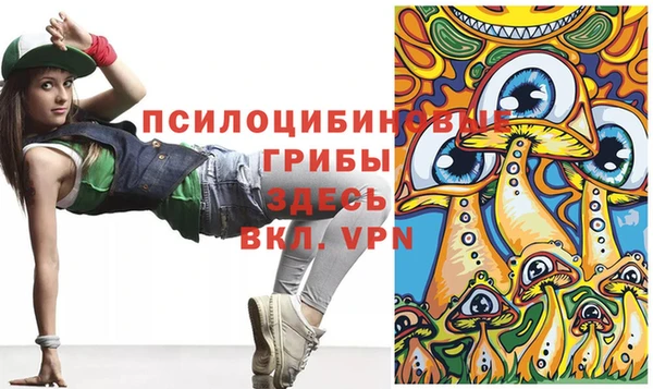ALPHA PVP Верея