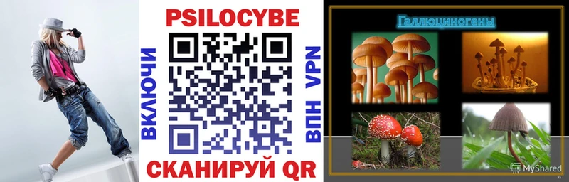 Галлюциногенные грибы Cubensis Гудермес